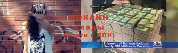 твердый Новокубанск