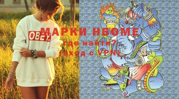 мдпв Новозыбков