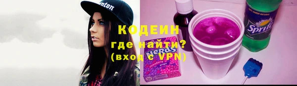 мдпв Новозыбков