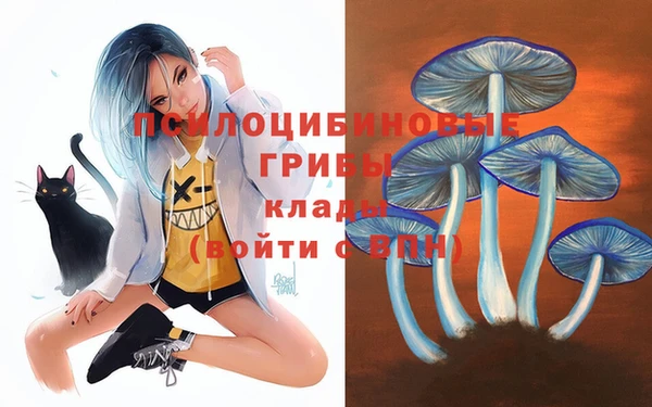 ГАЛЛЮЦИНОГЕННЫЕ ГРИБЫ Няндома