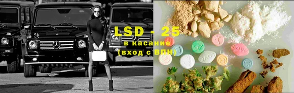 ГАЛЛЮЦИНОГЕННЫЕ ГРИБЫ Няндома